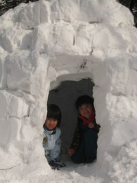 雪中