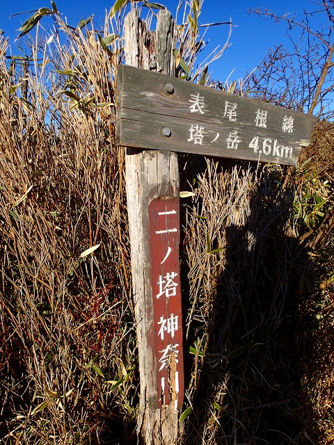 丹沢主脈縦走（1）