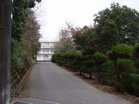 約２０年ぶり！！！