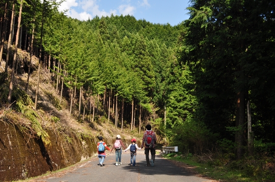 れっつ　ごぉ　登山！　　at　高見山