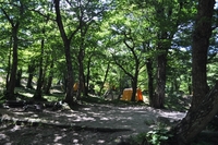 下山野営場　紹介レポ