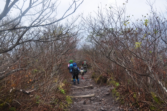 れっつ　ごぉ　登山！　at　大山