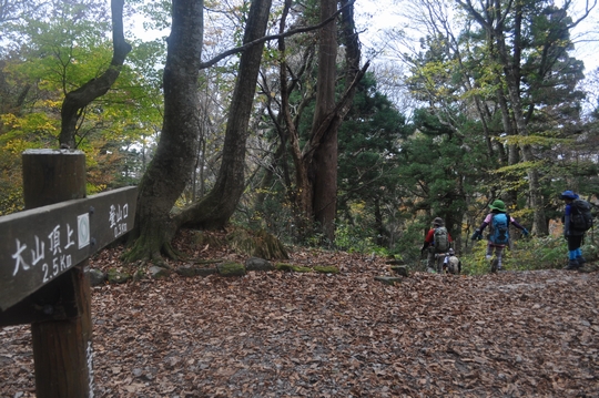 れっつ　ごぉ　登山！　at　大山