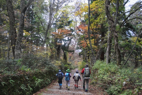 れっつ　ごぉ　登山！　at　大山