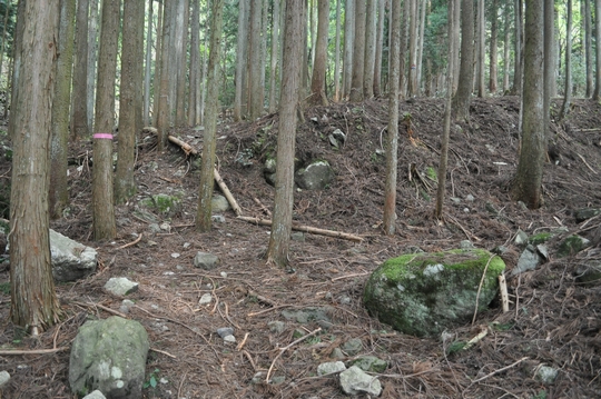 れっつ　ごぉ　登山！　at 蓬莱山