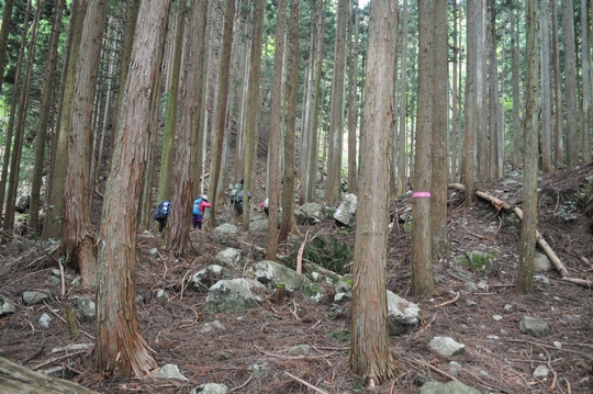 れっつ　ごぉ　登山！　at 蓬莱山