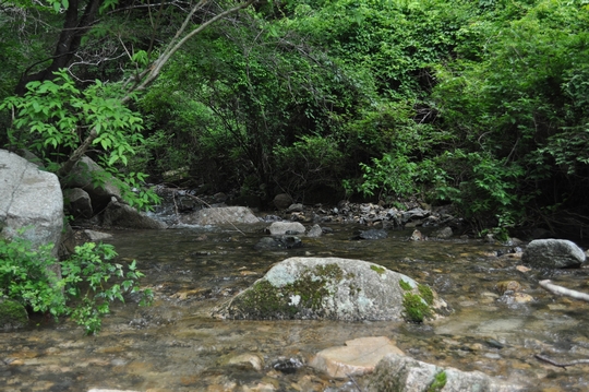 れっつ　ごぉ　登山！　at　六甲山