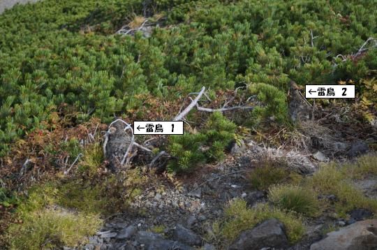 「なぜ登るのか」って？　・・そこに山があるからさ！