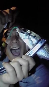 やったぜ!! 2010/06/29 22:14:51