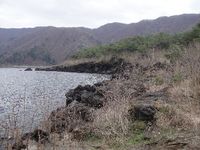 PICA西湖　ファミキャン