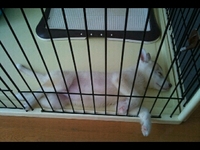 これから 2011/08/01 11:32:56