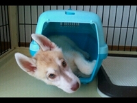 お気に入り 2011/08/11 09:55:39