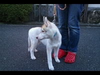 デビュー 2011/09/07 16:15:03