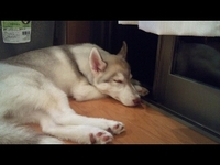 涼しい 2011/09/22 21:49:22