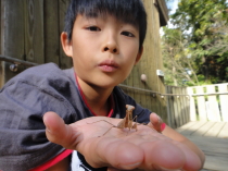 いつもの森で野遊びを満喫（豊里ゆかりの森）