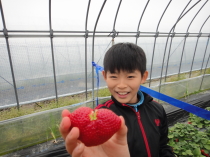 栃木でいちご狩り＆みかも山公園ハイキング