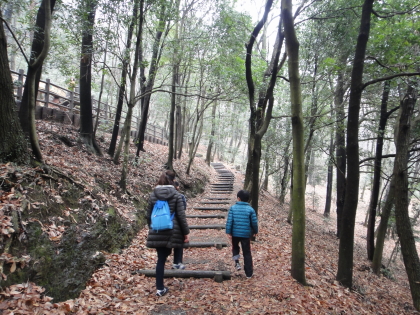 栃木でいちご狩り＆みかも山公園ハイキング