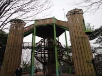 栃木でいちご狩り＆みかも山公園ハイキング
