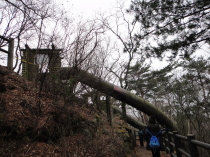栃木でいちご狩り＆みかも山公園ハイキング