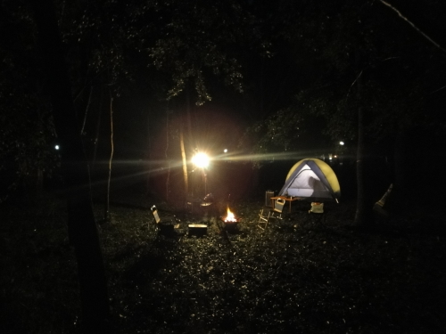 台風一過の休日、ゆかりの森で静かなキャンプ（豊里ゆかりの森）