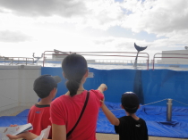 やっと沖縄に行ってきました♪