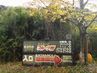オートキャンプ・フルーツ村でキャンプ＆紅葉狩りカヌー
