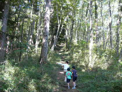 根古屋森林公園キャンプ場（栃木県佐野市）