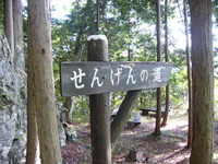根古屋森林公園キャンプ場（栃木県佐野市）