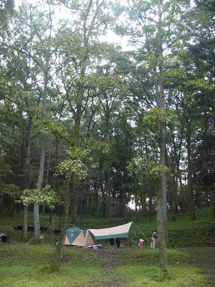 根古屋森林公園キャンプ場（栃木県佐野市）