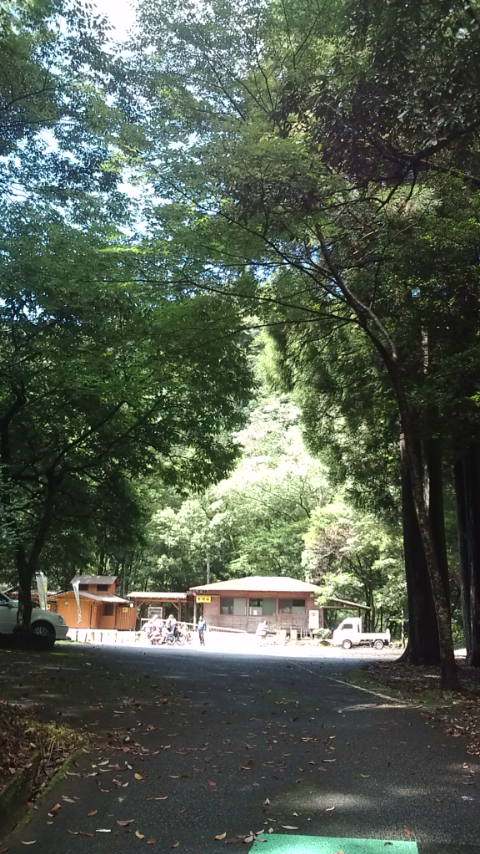 松山カブス★高千穂★狂い咲き日記★