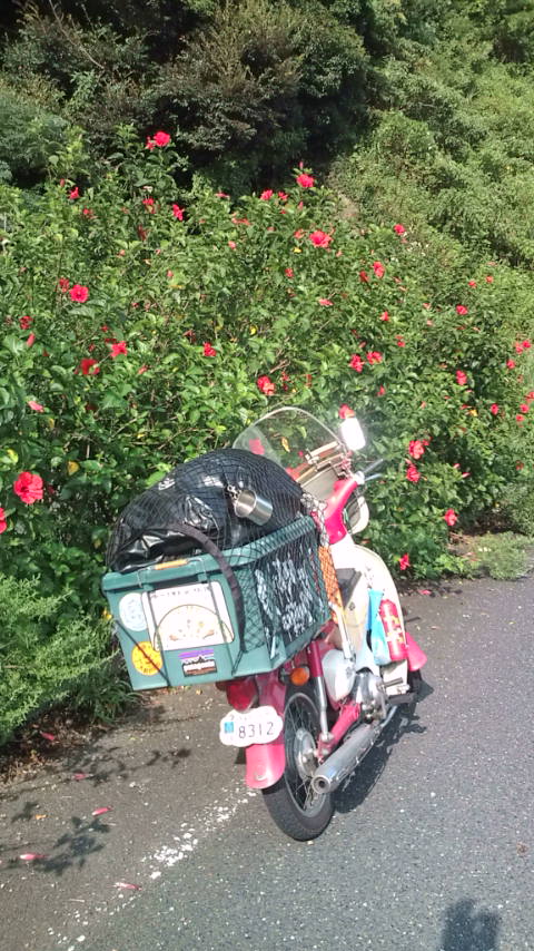 ★ろくでなしBLUES★