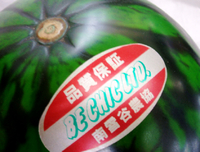 軌跡　