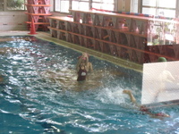 ★ひなたの水泳教室見学(*^_^*)★ 2009/07/15 17:05:27