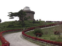 大野山アルプスランド