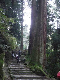 紅葉　室生寺