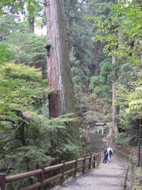 紅葉　室生寺