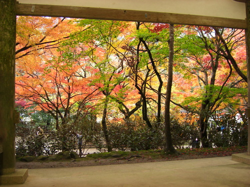 紅葉　室生寺