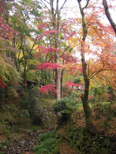 紅葉！正暦寺