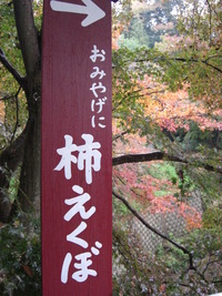 紅葉！正暦寺
