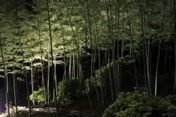 中秋の名月