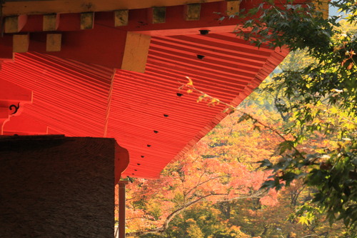 紅葉の談山神社