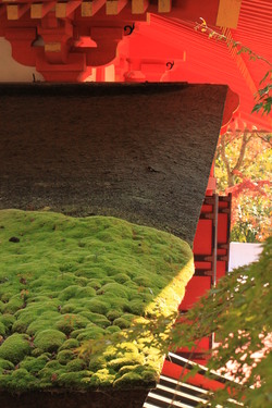 紅葉の談山神社