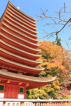 紅葉の談山神社