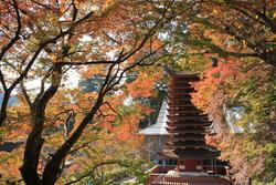 紅葉の談山神社