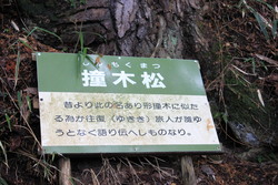家族で高見山へ