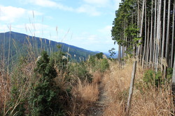 家族で高見山へ
