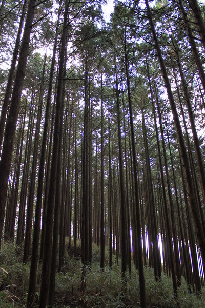 家族で高見山へ
