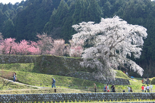 春の山