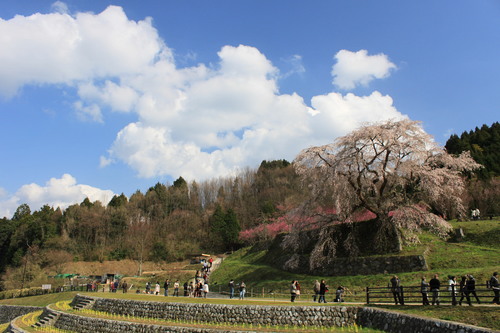 春の山