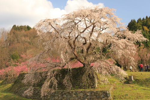春の山